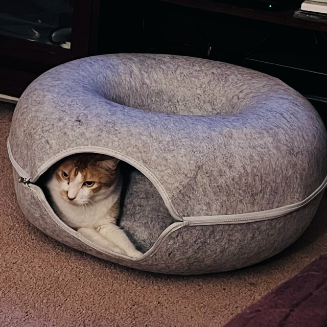 Tignous™️ Peekaboo Cave