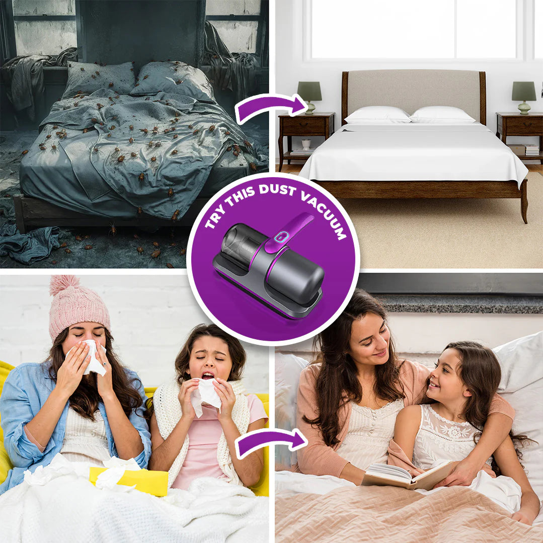 Dust Vacuum & Iron - Furniture, Bedsheets, Beds & Other Household