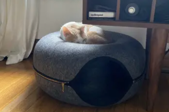 Tignous™️ Peekaboo Cave