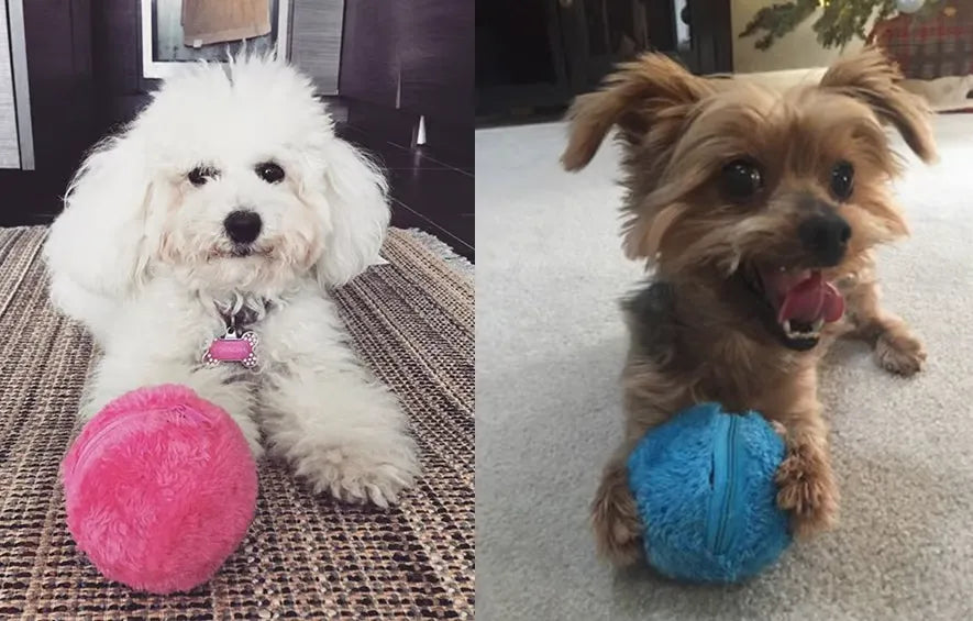 Active Rolling Ball(4 color covers included)