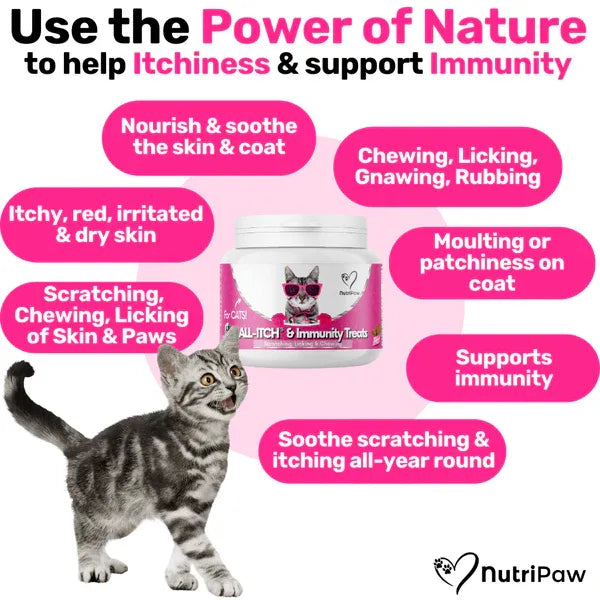 all-itch-for-cats