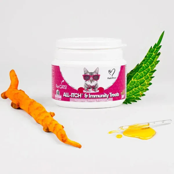 all-itch-for-cats