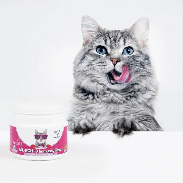 all-itch-for-cats