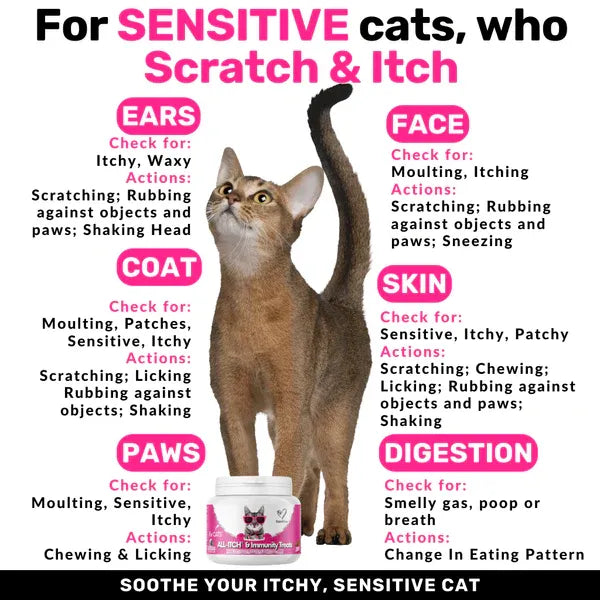 all-itch-for-cats