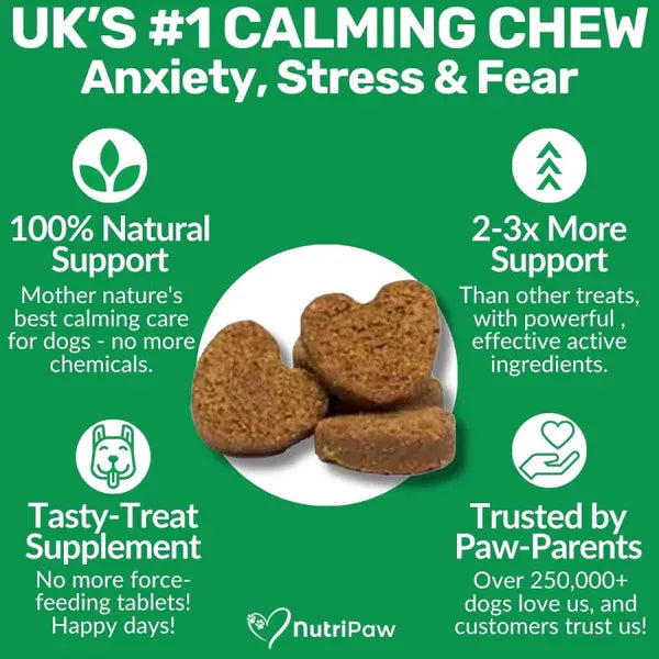 calming-treats