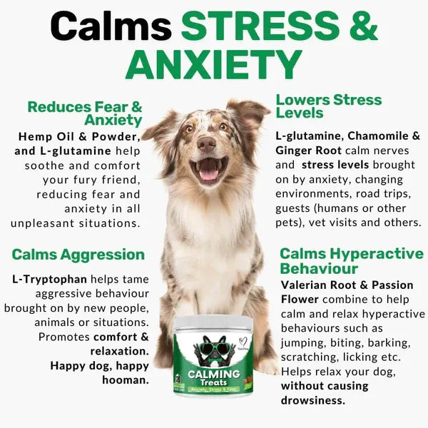 calming-treats