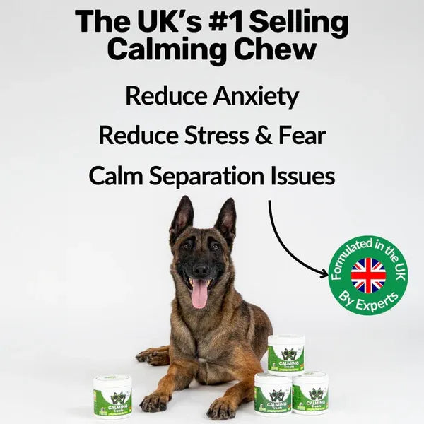 calming-treats