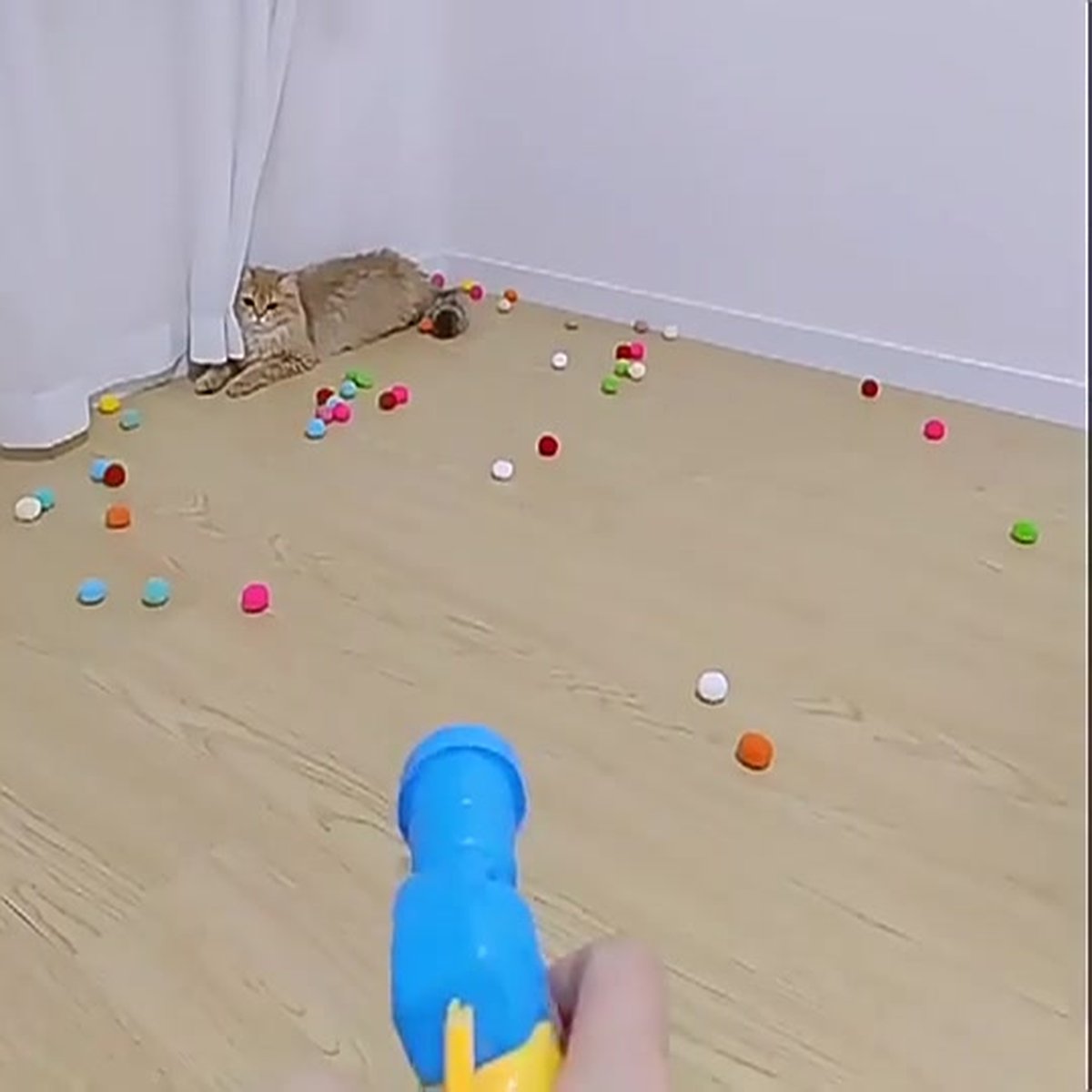 Cat Toys -  Shooting Gun