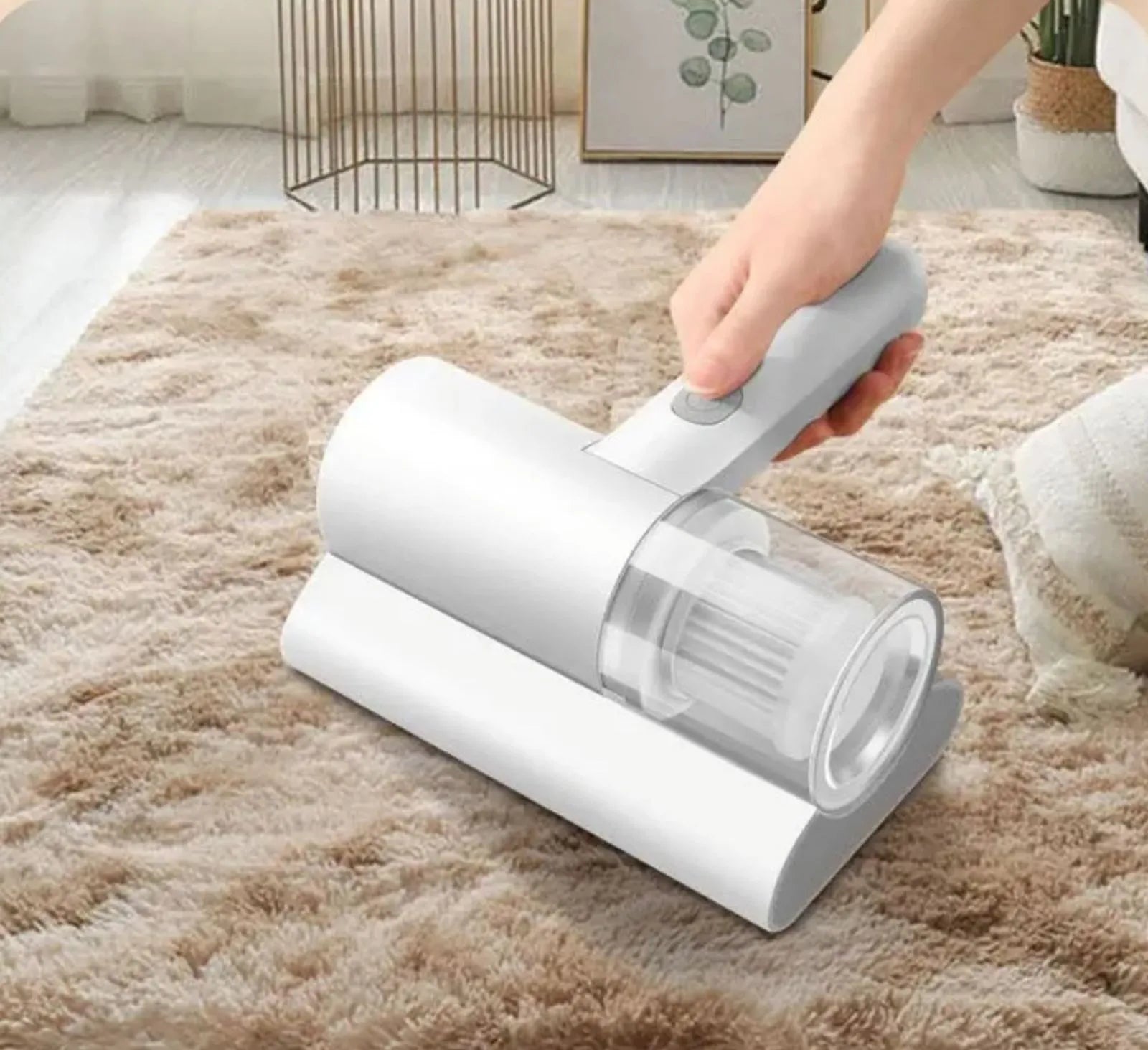 Vacuum Cleaner and Vacuum Sterilizer