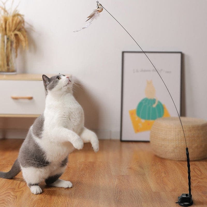 Interactive Bird Simulation Cat Toy Set | Leo's Paw