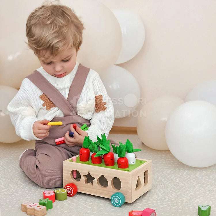 Montessori Carrot Wheels
