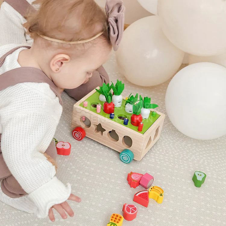 Montessori Carrot Wheels