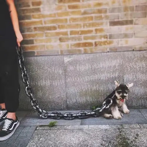 Funny Big Dog Chain 🐾