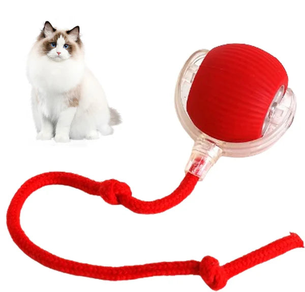 Smart Interactive Pet Toy Ball