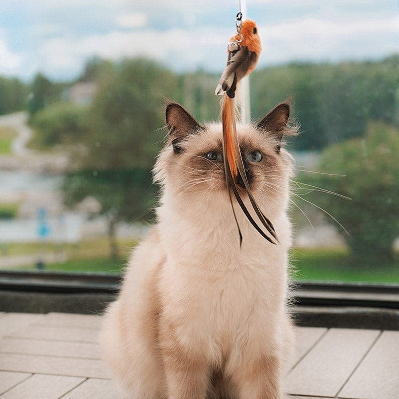 Interactive Bird Simulation Cat Toy Set | Leo's Paw