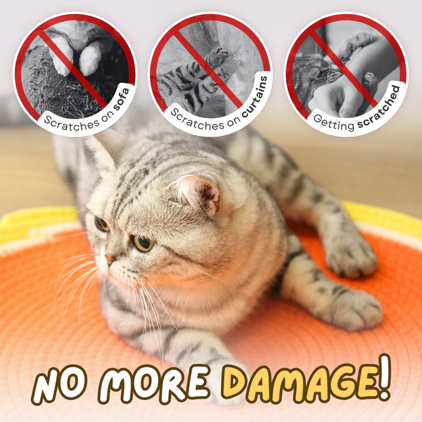 YoPoll Dual Scratching Pad