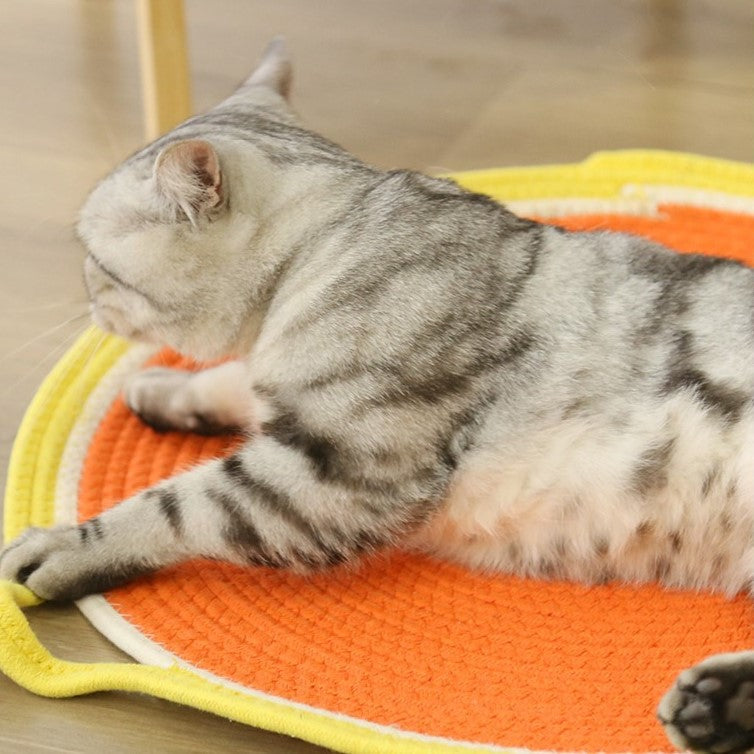 YoPoll Dual Scratching Pad