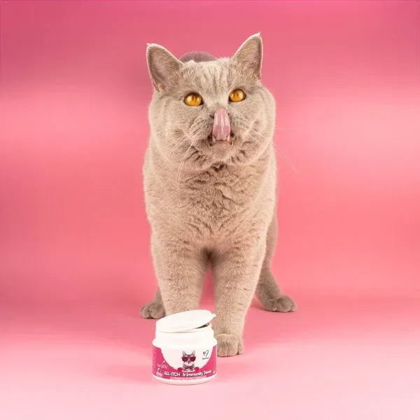 all-itch-for-cats