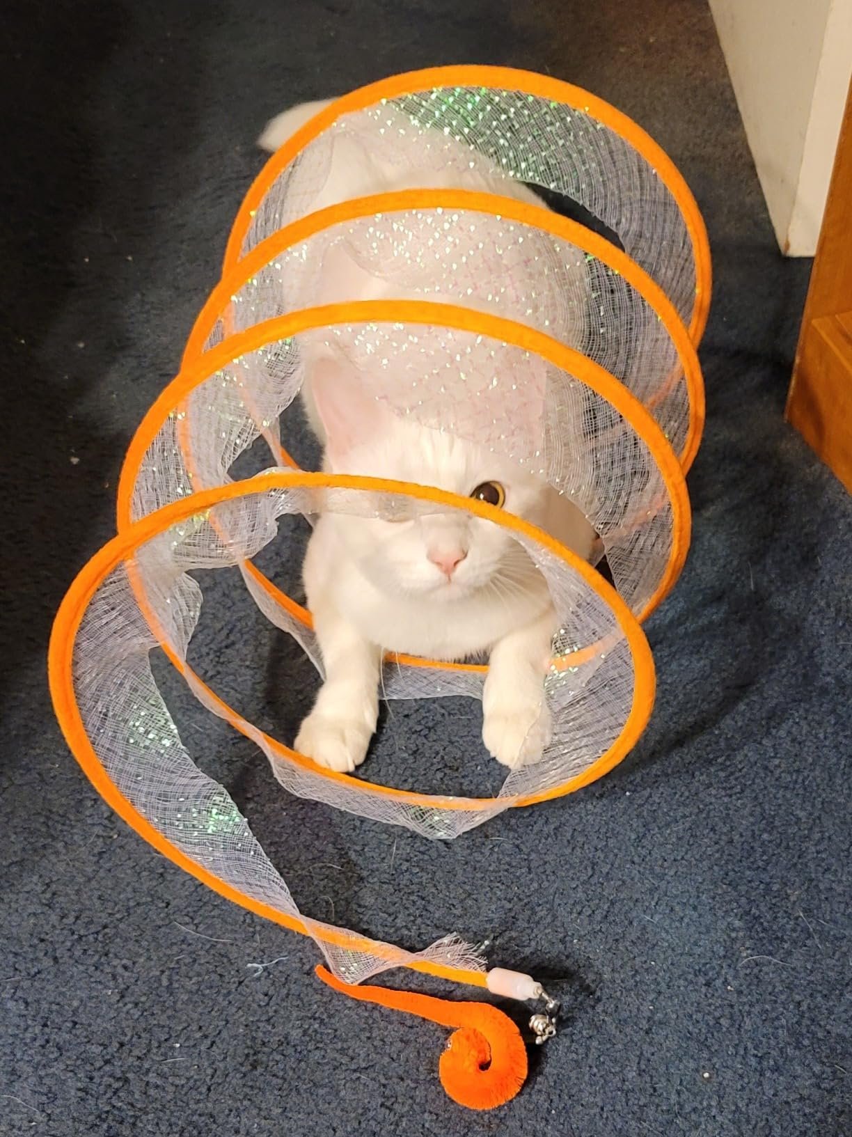 🔥Hot Sale 50% OFF🔥CAT TUNNEL