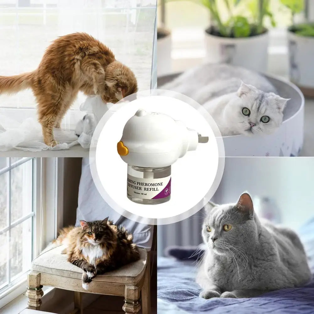 therapetmdTheraPet™: Transforming Feline Stress into Peace and Joy